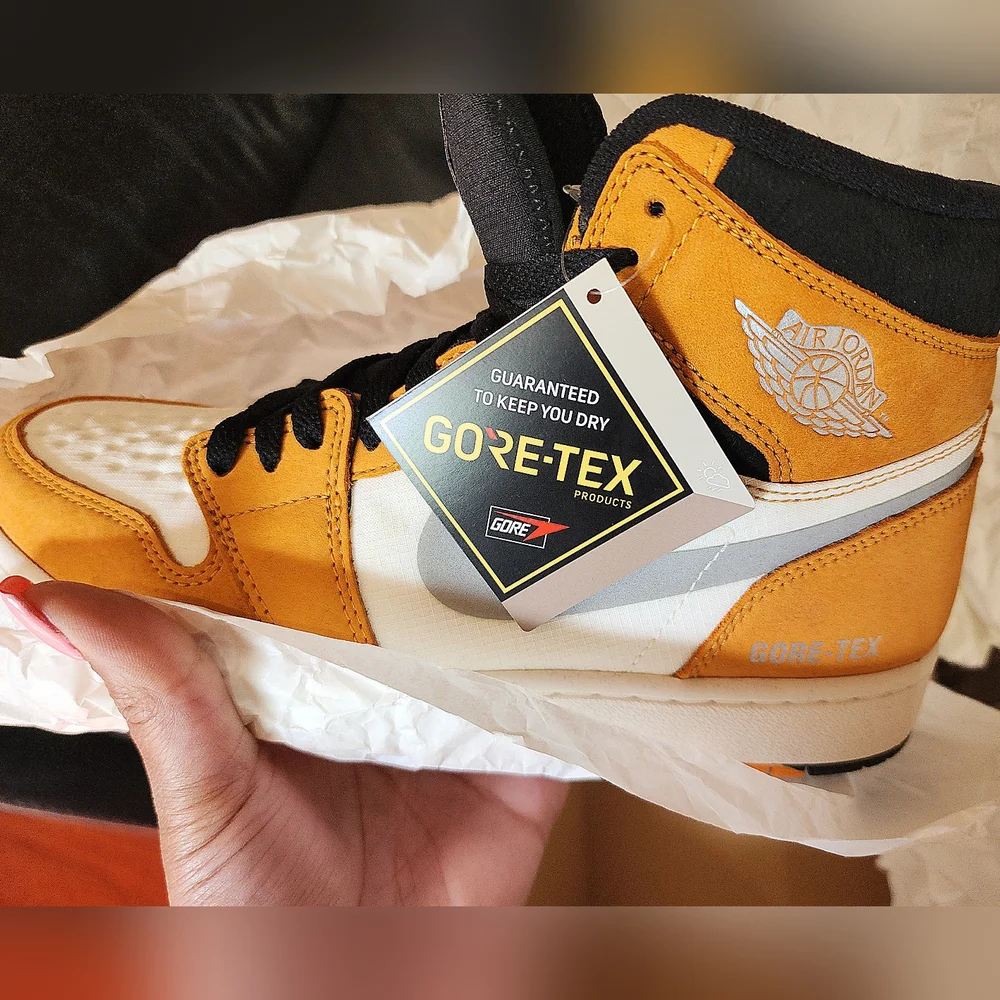 NIB Air Jordan 1 Element Gore-Tex 
